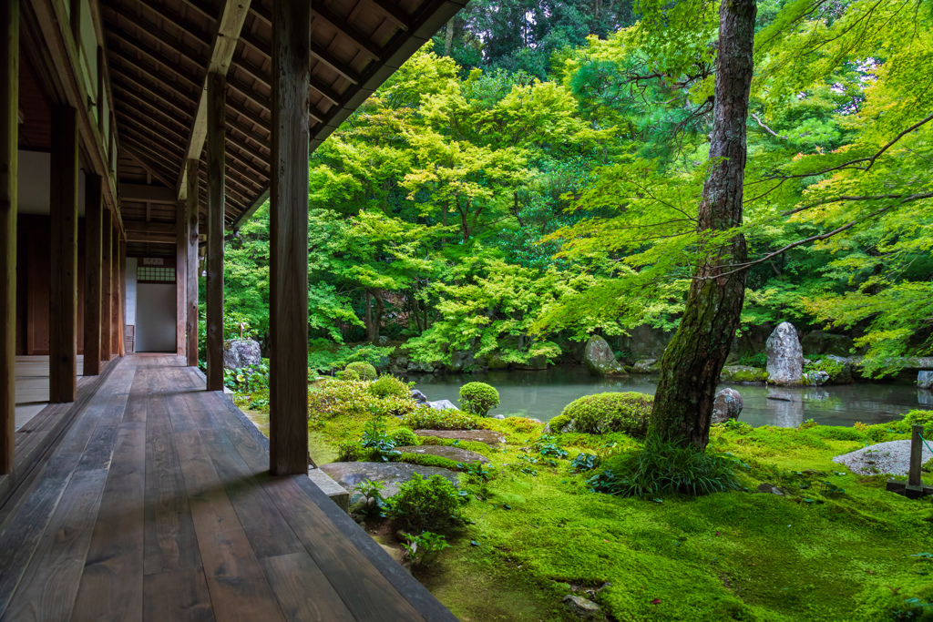 蓮華寺/京都のお寺1