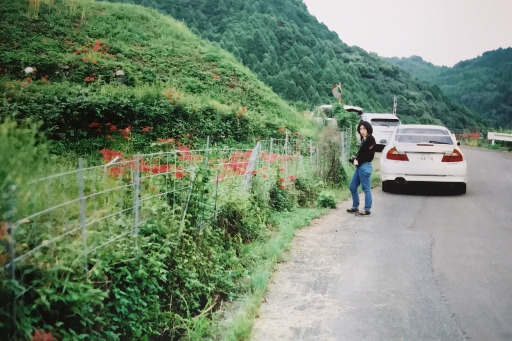 フォトジェニック棚田