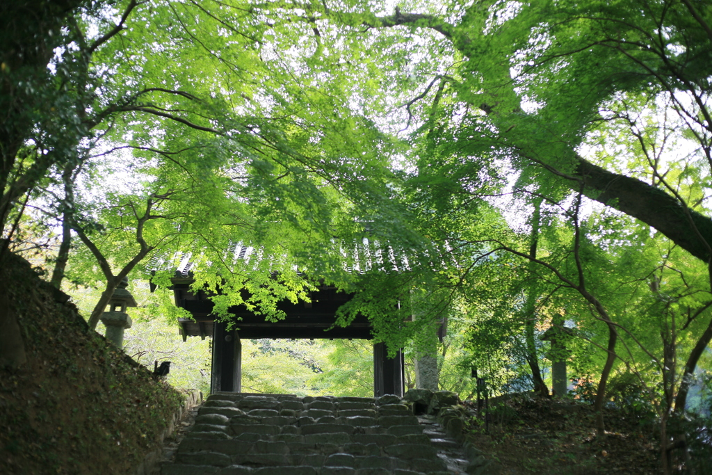 透過