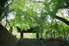 透過