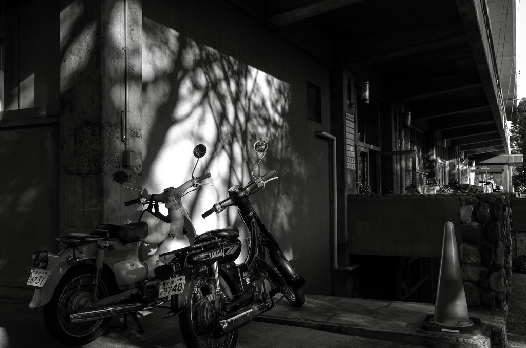 bike