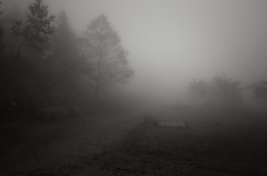 霧の中の風景