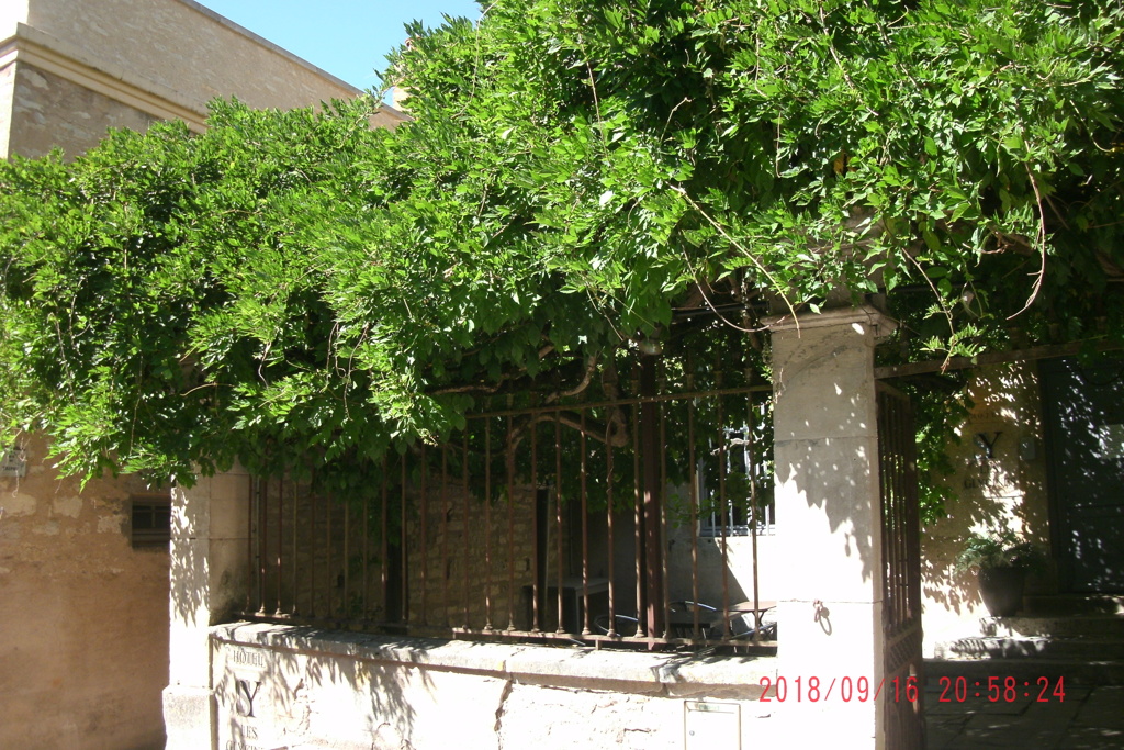 Basilique Sainte-Madelaine