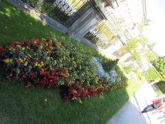 Mirabellgarten