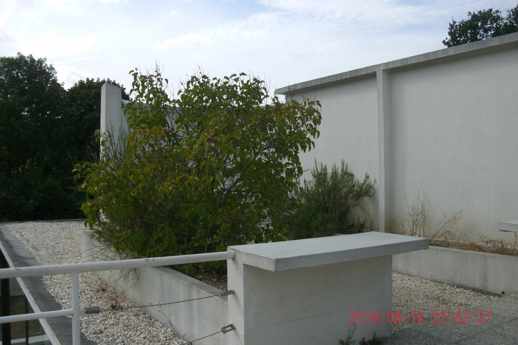 Villa Savoye