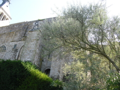 Mont Saint-Michel