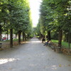 Mirabellgarten