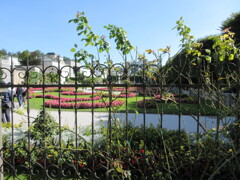 Mirabellgarten