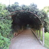 Mirabellgarten