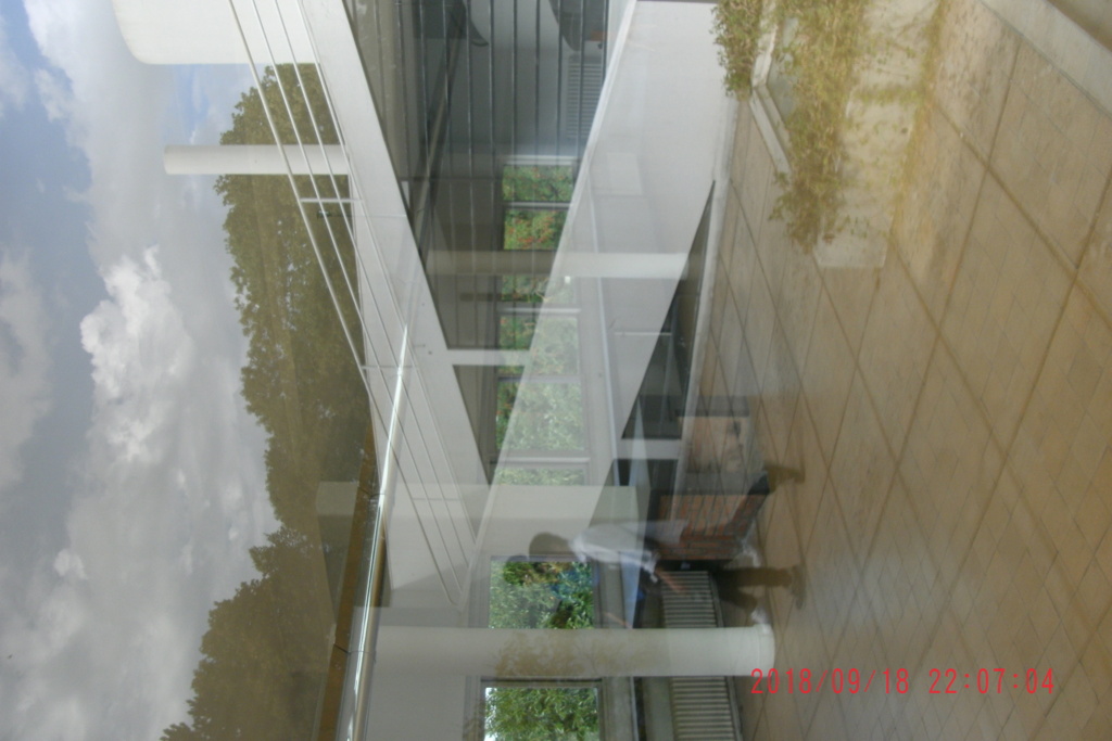 Villa Savoye