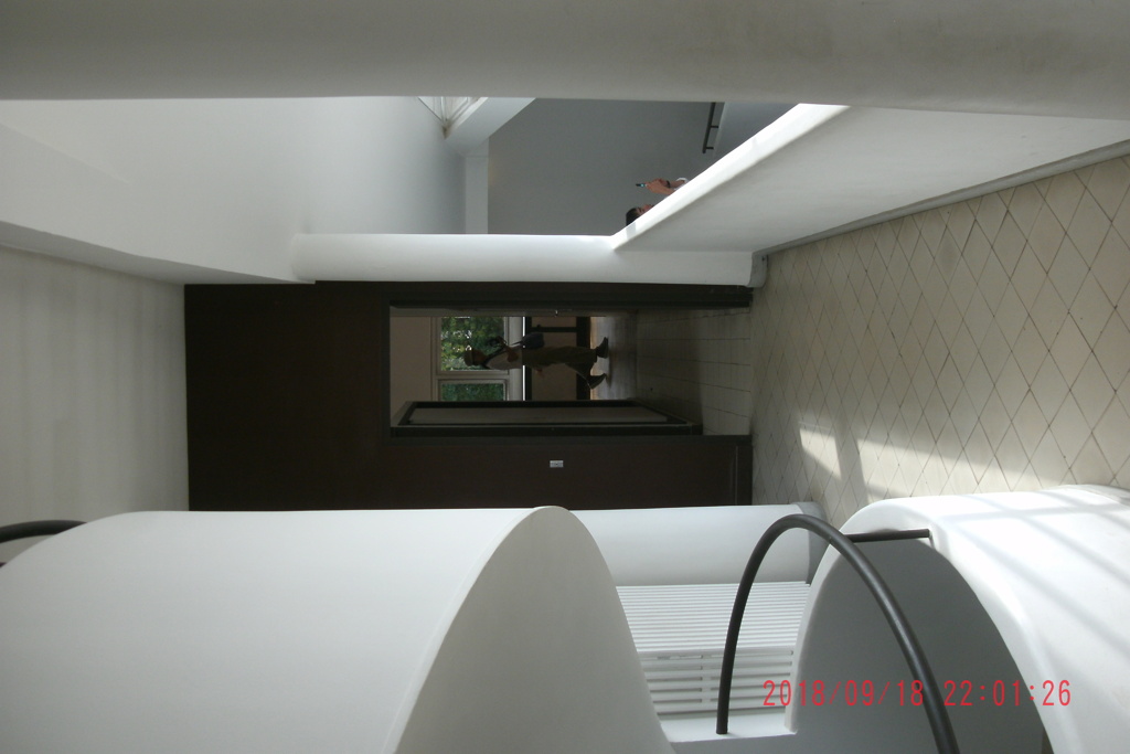 Villa Savoye