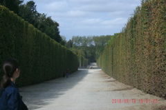 Palais de Versailles