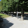 Mirabellgarten