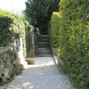 Mirabellgarten