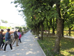 Mirabellgarten