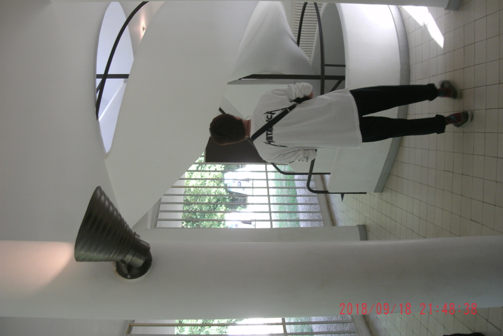 Villa Savoye