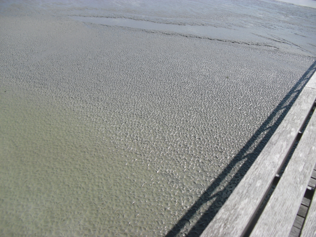 Mont Saint-Michel