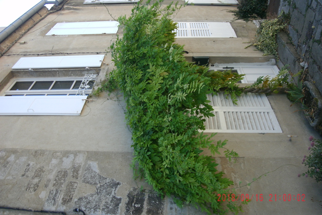 Basilique Sainte-Madelaine
