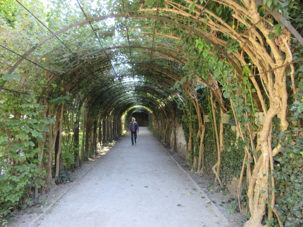 Mirabellgarten
