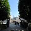 Mirabellgarten