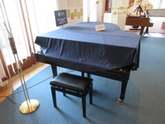 Muzeum Bedřicha Smetany