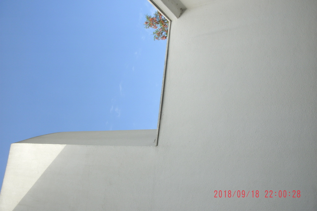 Villa Savoye