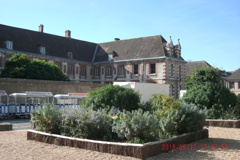 Cathédrale Notre-Dame de Chartres