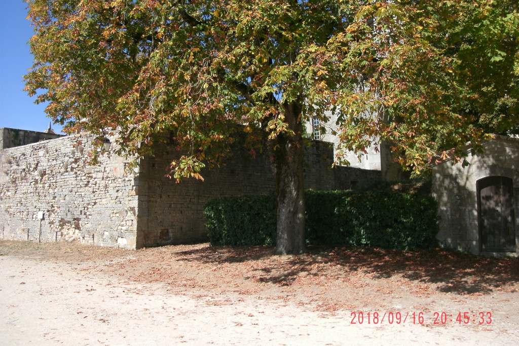 Basilique Sainte-Madelaine