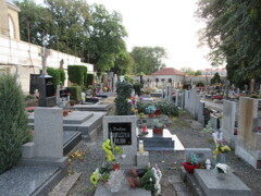 Kostnice Sedlec