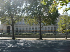 near Pont Alexandre III