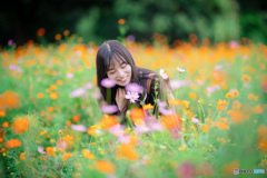 花園で君をみつけた