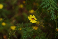 DSC00328