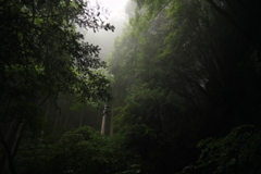 天狗滝の途中で
