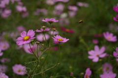 DSC00267