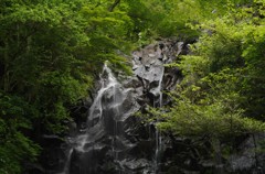 飛龍の滝②