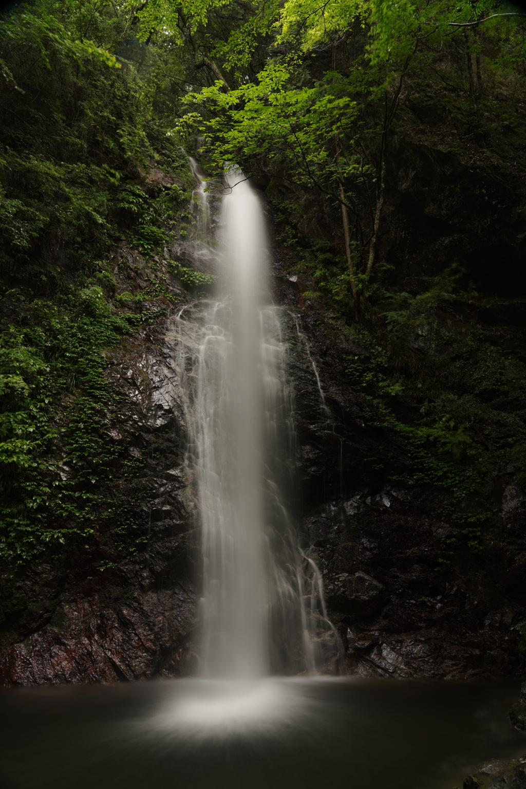 払沢の滝(全景)_水量多しVer