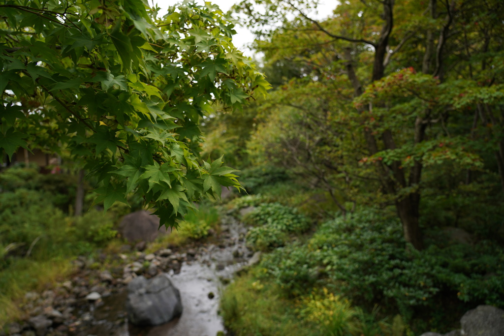 DSC00190