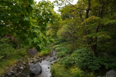 DSC00190