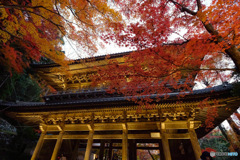 紅葉めぐり