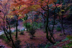 鶏足寺