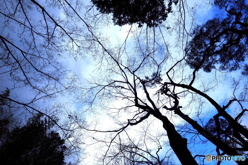 冬の空…