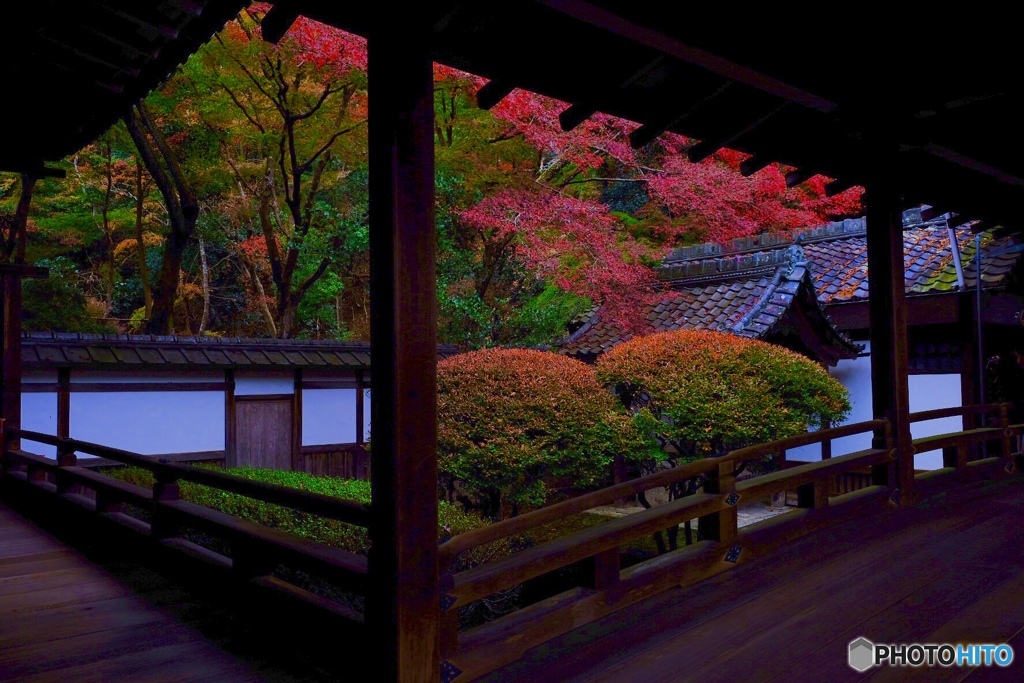 色とりどり…