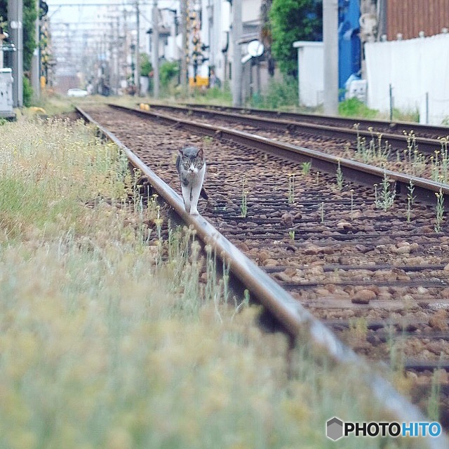 電車の旅③