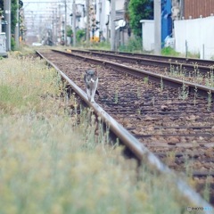 電車の旅③