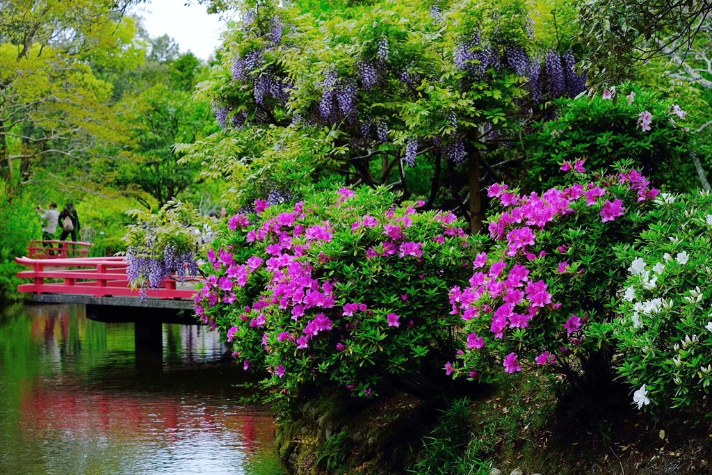 萬葉植物園