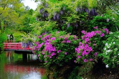 萬葉植物園