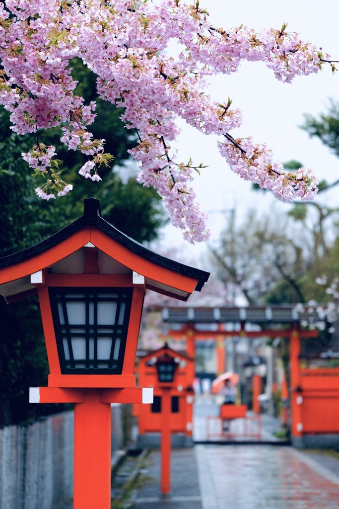 雨の日の