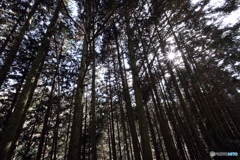 宇治