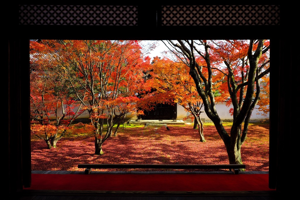京都