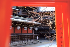 鳥居の先に